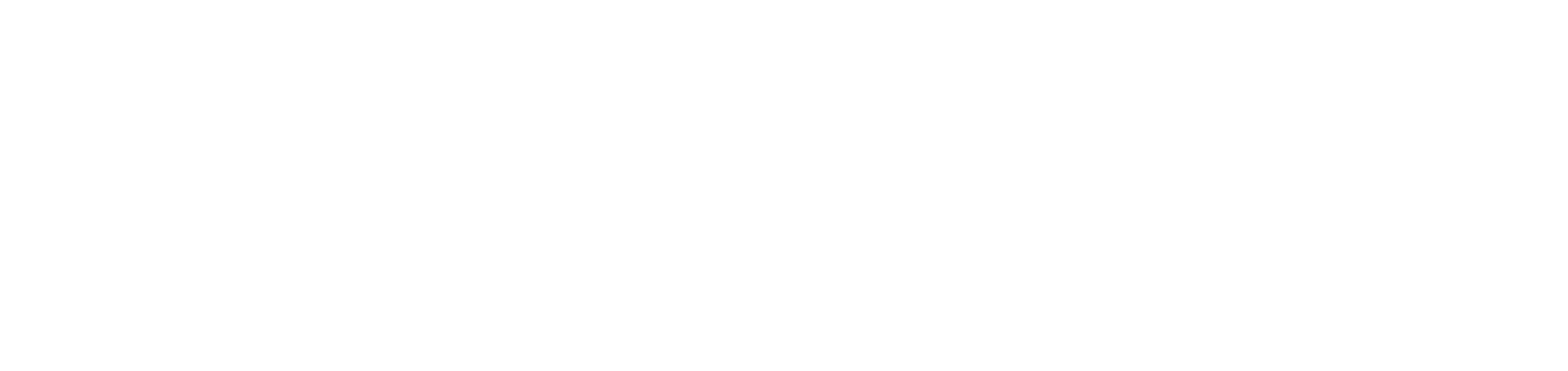 TYCOON LOGO white